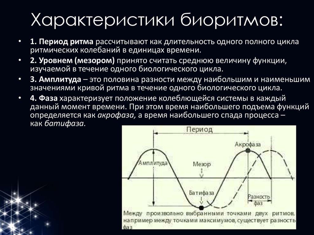 Характеристика амплитуды. Характеристика биологических ритмов. Параметры биоритмов. Основные параметры биологического ритма. Циклы биоритмов.