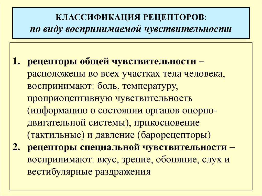 Рецепторы чувствительности. Классификация рецепторов по виду воспринимаемой чувствительности. Рецепторы по виду воспринимаемой чувствительности. Рецепторы классификация рецепторов. Классификация рецепторов и видов чувствительности.