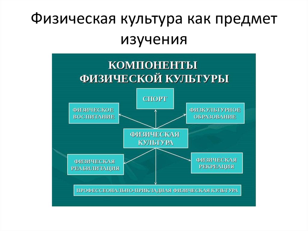 Компоненты исследования