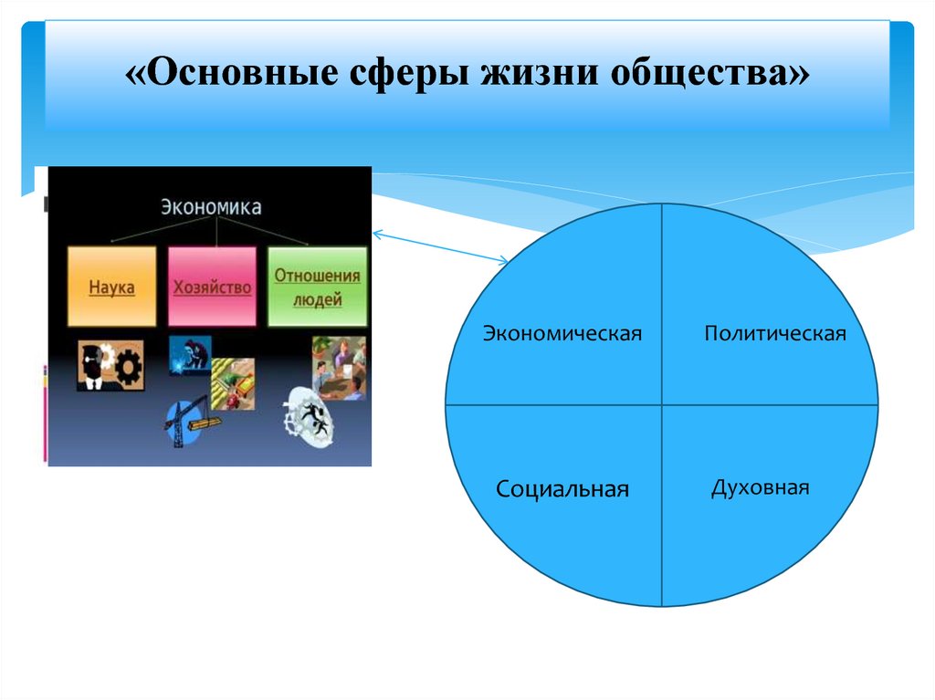 Проект сферы жизни человека