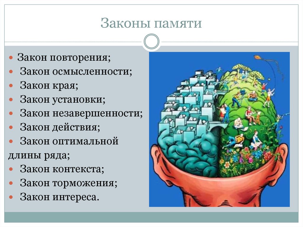 Память психологический. Законы памяти. Закономерности человеческой памяти. Законы памяти в психологии. Память презентация по психологии.