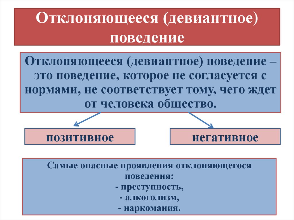 Общепризнанные правила образцы поведения стандарты деятельности обеспечивающие упорядоченность