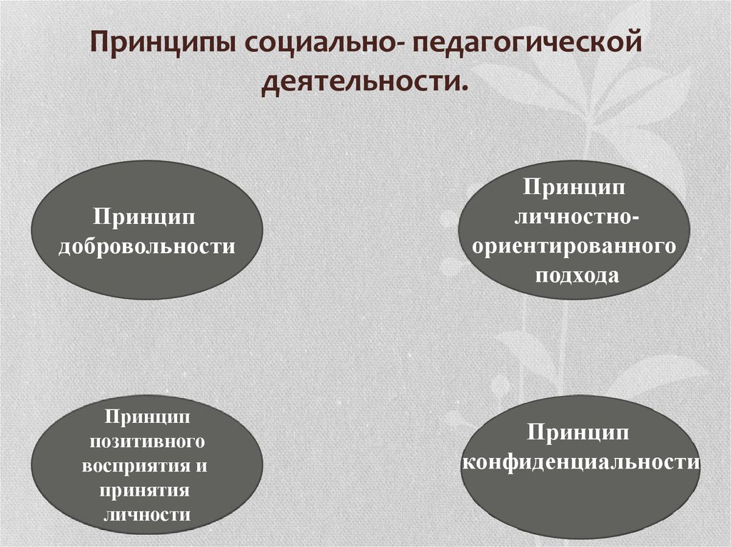 Принципы социальные человека. Принципы социально-педагогической деятельности. Принципы социального педагога. Принципы социальной работы педагогика. Основные принципы социально педагогической работы.