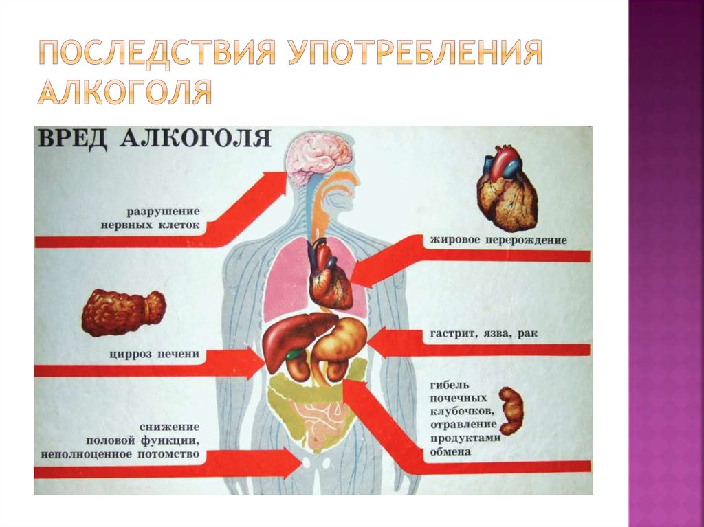 Презентация о вреде никотина и алкоголя