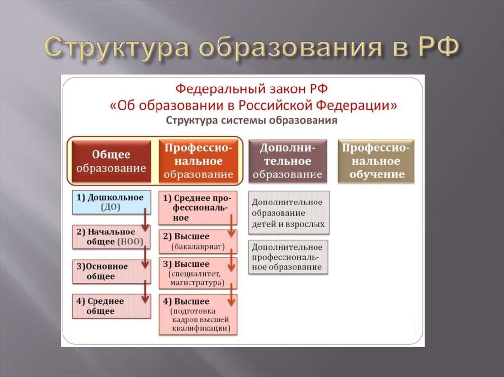 Составьте схему используя следующие понятия образование принципы образования в рф образовательная