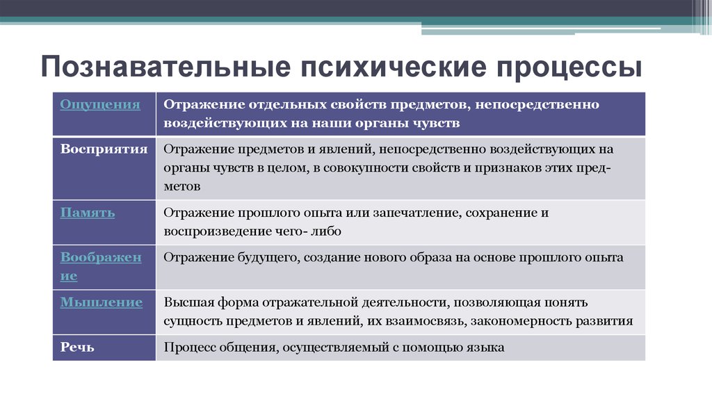 Восприятие память мышление и другие познавательные процессы определяются схемами