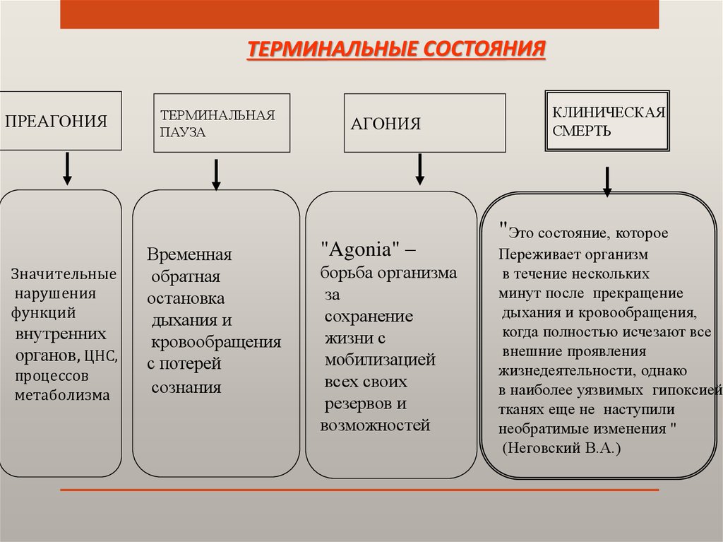 Характеристика человека карта смерть