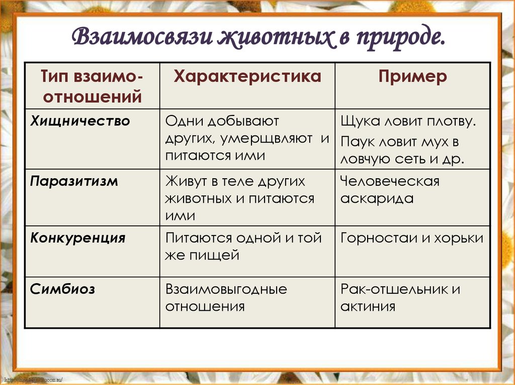 Используя информационные ресурсы подготовьте презентацию материалов о формах взаимоотношений