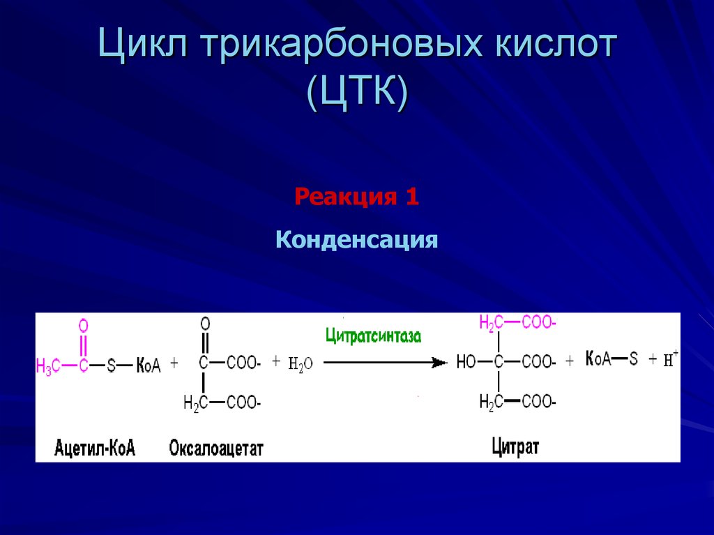 Химизм действия этанола