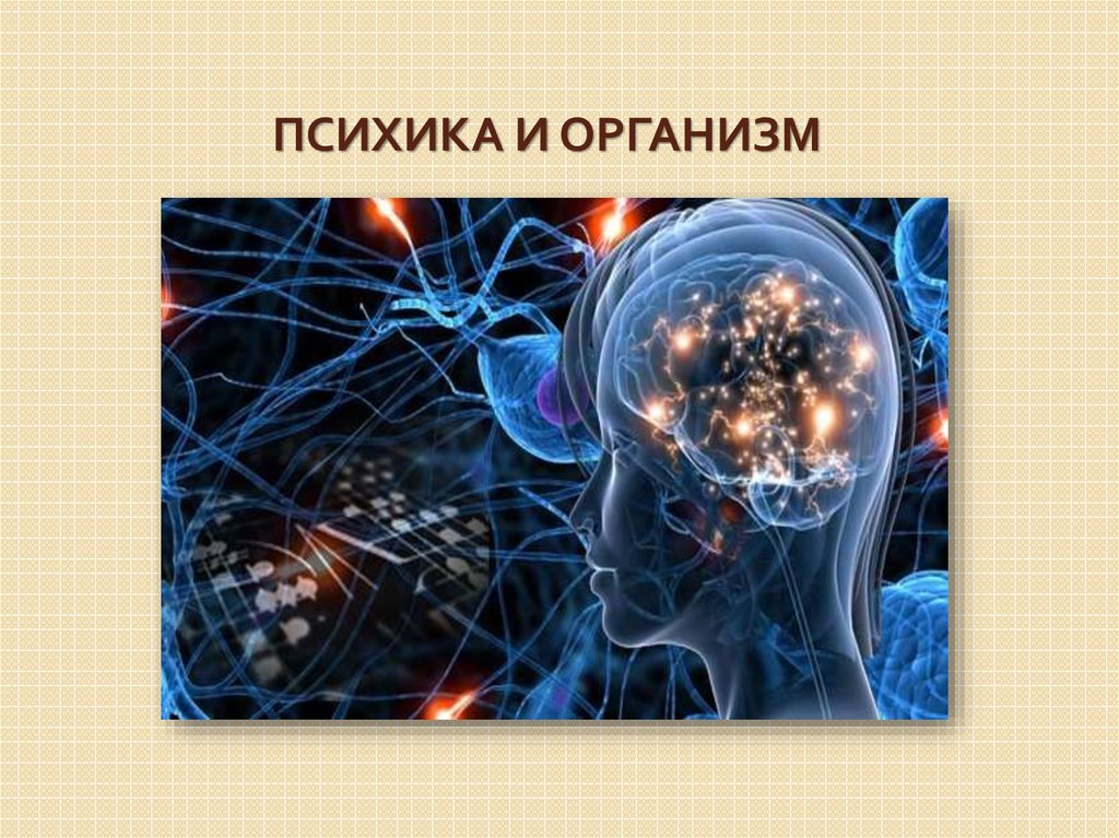 Психика и организм. Психика и организм презентация. Психика и организм в психологии. Психика человека презентация.