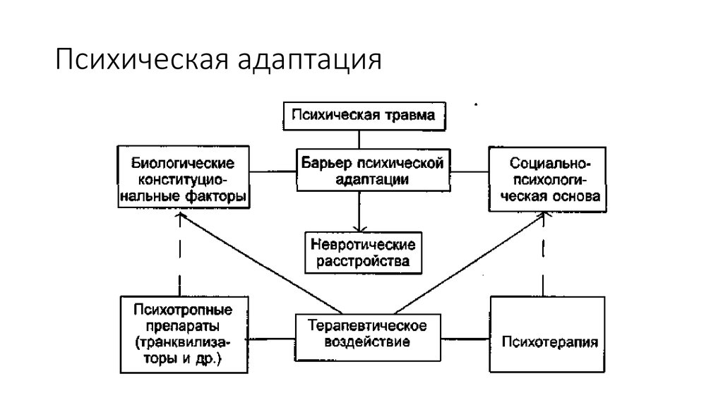 Схему механизмов адаптации