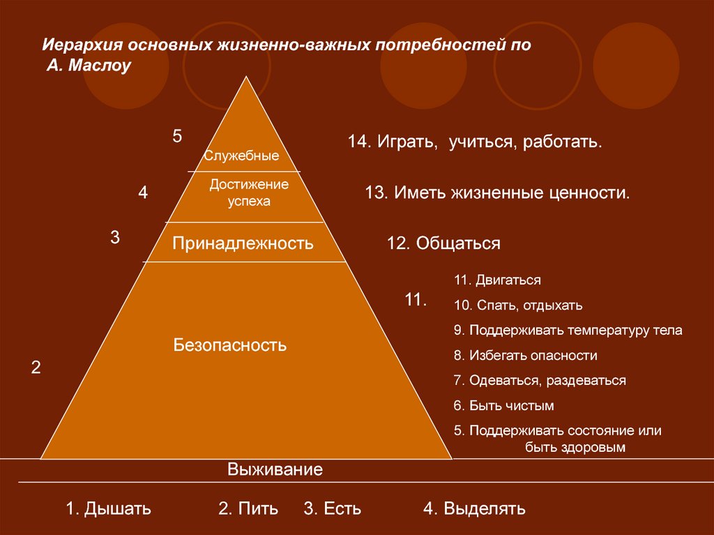 Здоровье в иерархии потребностей и ценностей культурного человека презентация