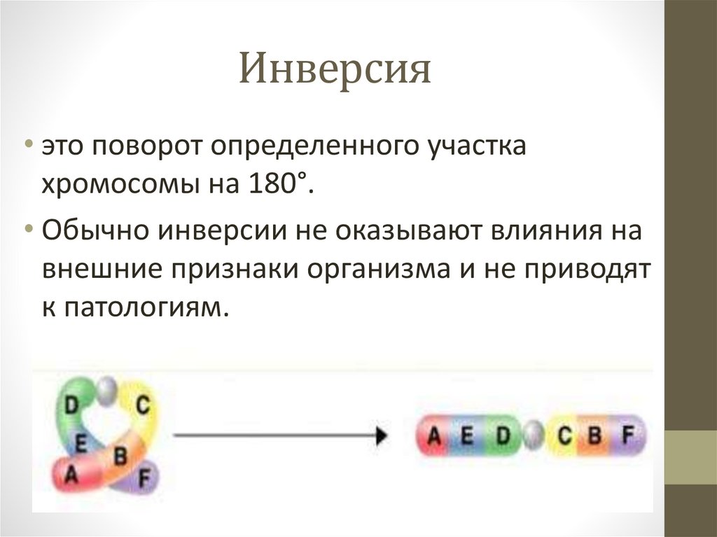 Инверсия изображения это