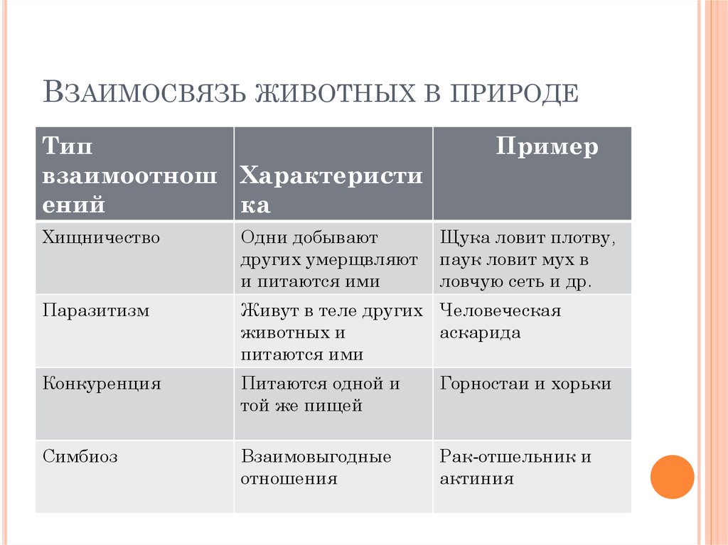 Определите и опишите типы взаимоотношений между организмами представленными на рисунках