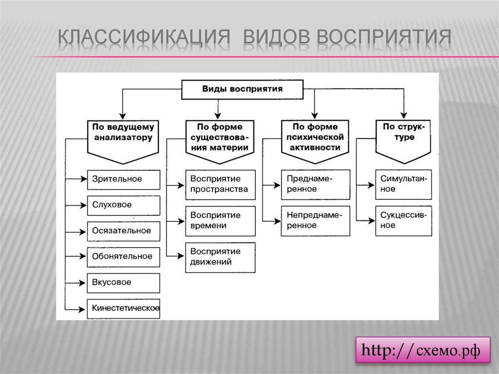 Восприятие в психологии презентация