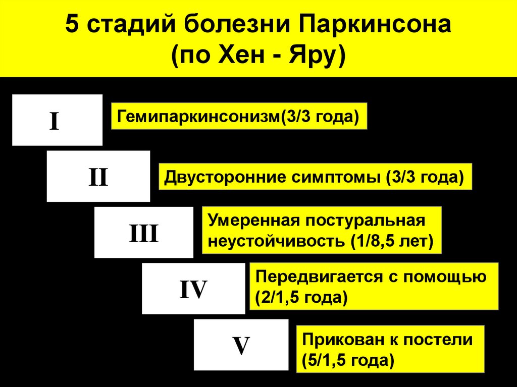 Стадии время жизни