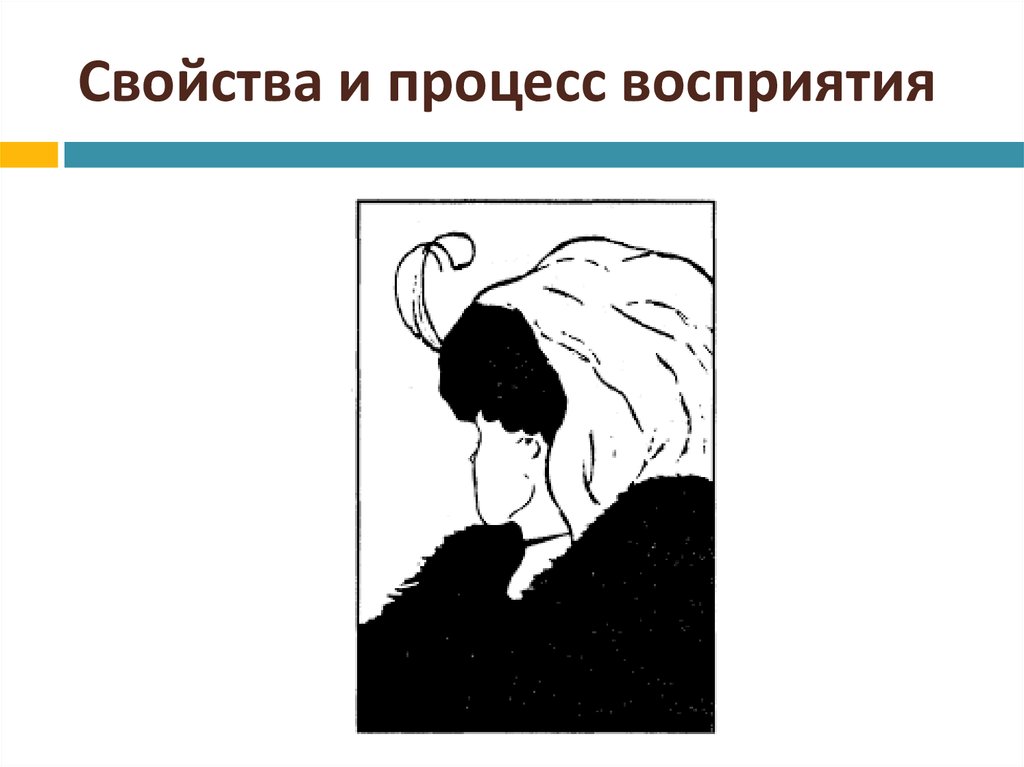 Восприятие ситуации это. Процесс восприятия схема. Восприятие в психологии картинки. Свойства восприятия картинки.