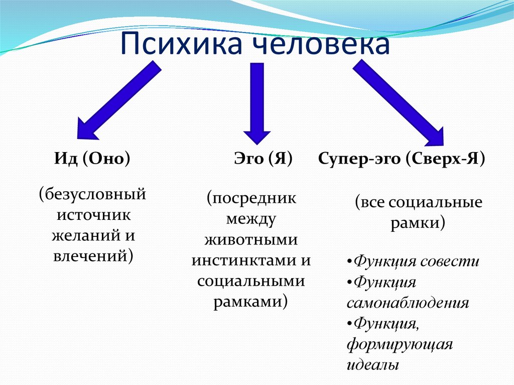 Психика презентация по психологии