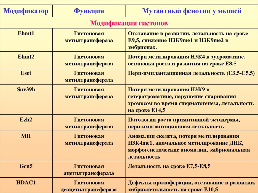 Эпигенетическая теория э эриксона