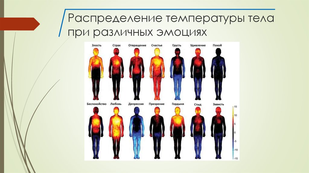 Как по рисункам определить состояние человека по