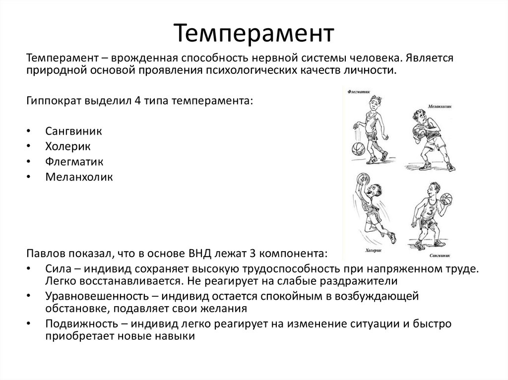 Темперамент презентация 8 класс технология