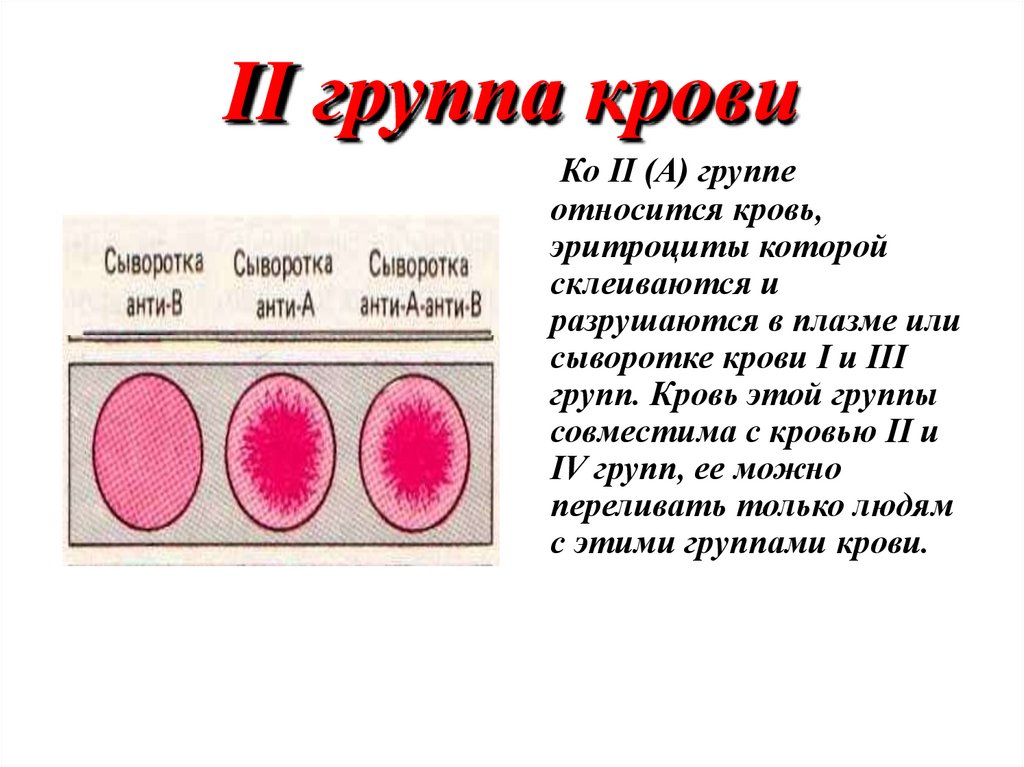 1 группа крови характер