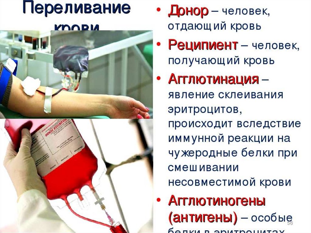Результаты переливания крови. Переливание крови презентация. Переливание донорской крови. Переливание крови от донора к реципиенту.