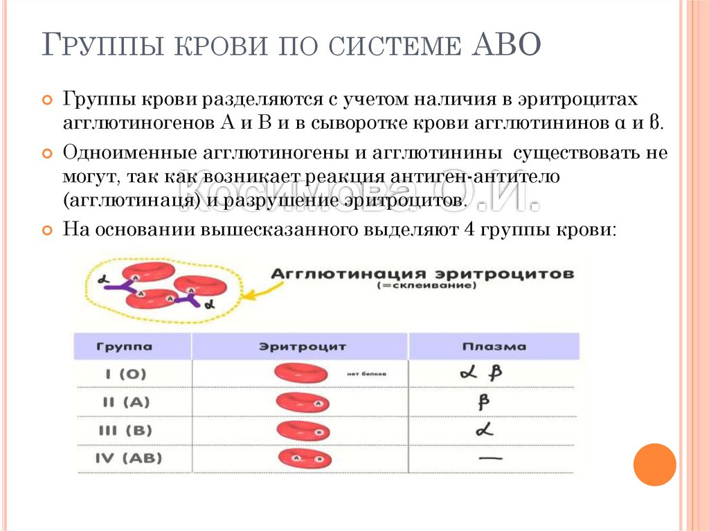 Изучите рисунок и установите какая группа крови