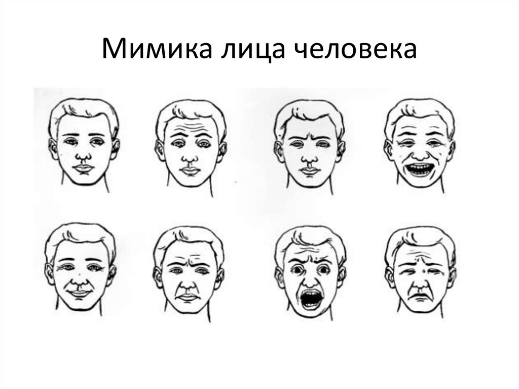 Выражение лица бывает. Мимика человеческого лица. Выражение лица человека. Мимика лица в схемах. Мимические выражения лица.