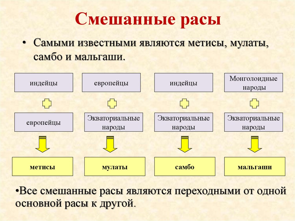 Факторы формирования рас. Креолы метисы Мулаты таблица. Смешанные расы. Таблица смешанных рас. Смешанные человеческие расы.