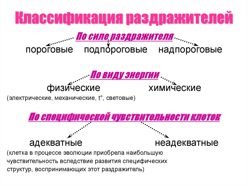 Понятие возбудимости тканей. Классификация раздражителей физиология. Классификация раздражителей физиология по силе. Характеристика и классификация раздражителей.. Раздражитель классификация раздражителей.