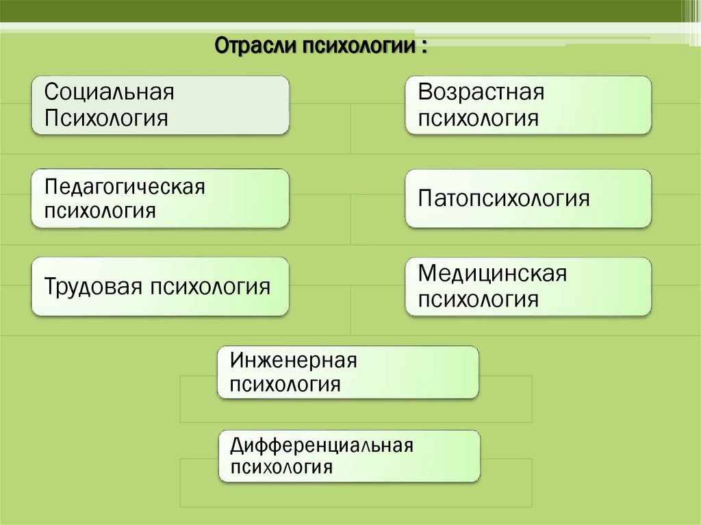 Отрасли психологии схема