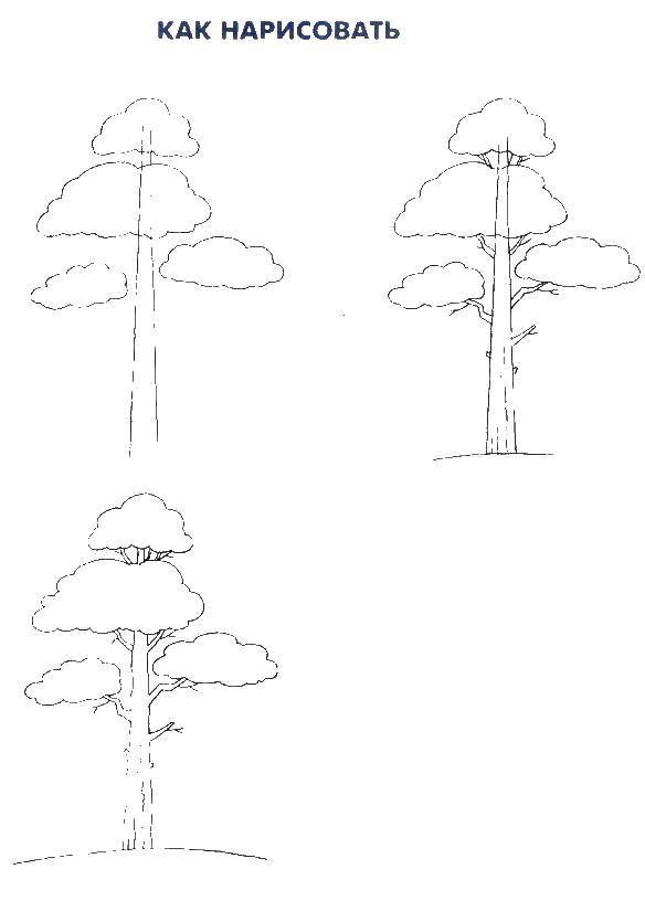 Как научиться рисовать дерево