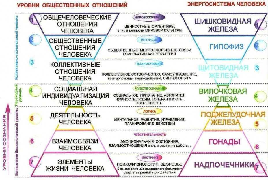 Деятельность на уровне сознания в идеальном плане оперирование образами символами идеями называется