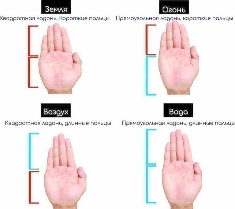 Тест большого пальца. Определить ориентацию человека по пальцам. Типы пальцев на руках. Ориентация по длине пальцев. Типы рук по длине пальцев.