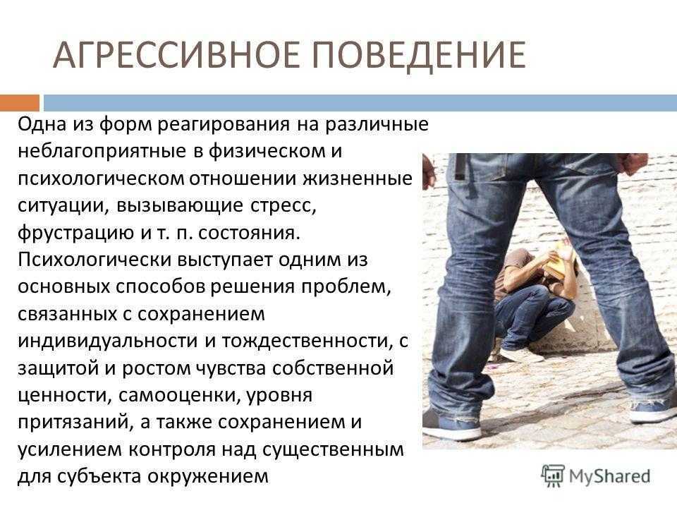 Презентация на тему агрессивное поведение