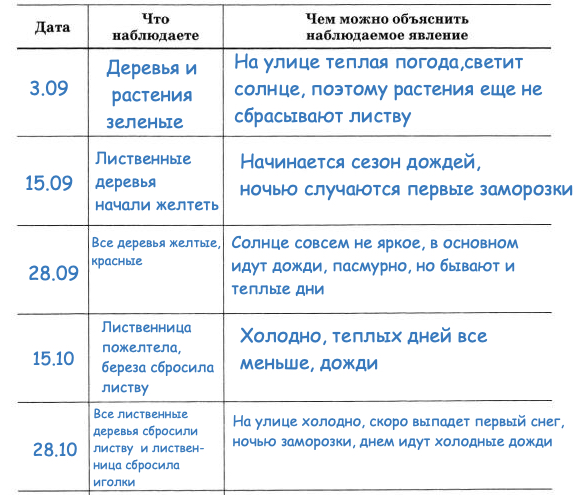 Дневник исследования ученика по научному проекту образец