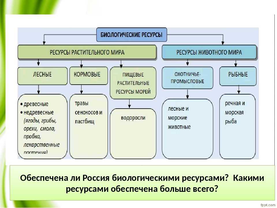 Биологические виды природных ресурсов. Схема биологических ресурсов. Классификация биологических ресурсов. Структура биологических ресурсов. Биологические ресурсы.