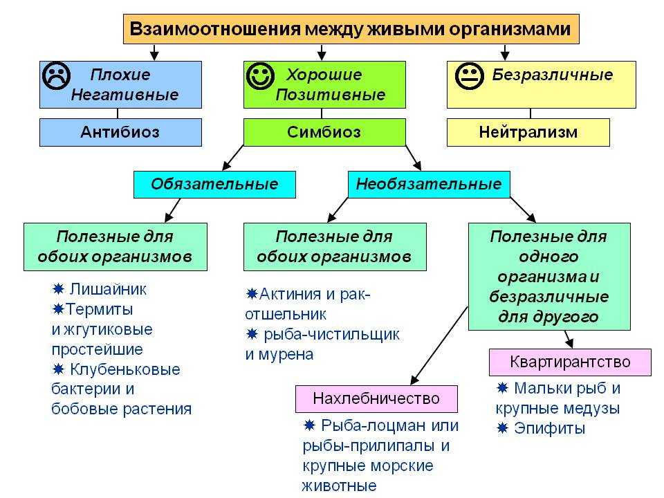 На основании материала параграфа составьте схему возможные варианты межвидовых отношений