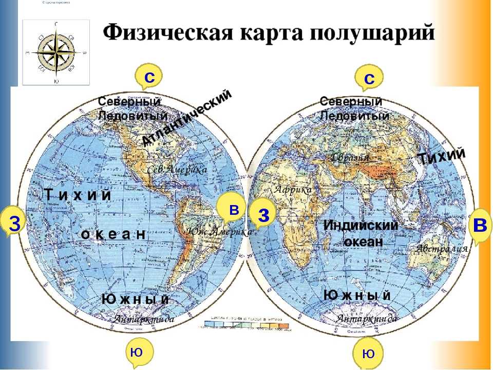 На каком материке серый волк восточного полушария. Карта полушарий земли. Физическая карта полушарий. Стороны света на карте полушарий. Карта полушарий материков и океанов.