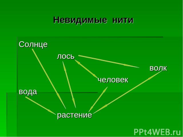 Модель невидимые нити 2 класс. Невидимые нити схема. Невидимые нити в осеннем лесу. Цепочка невидимых нитей в природе. Лось невидимые нити.