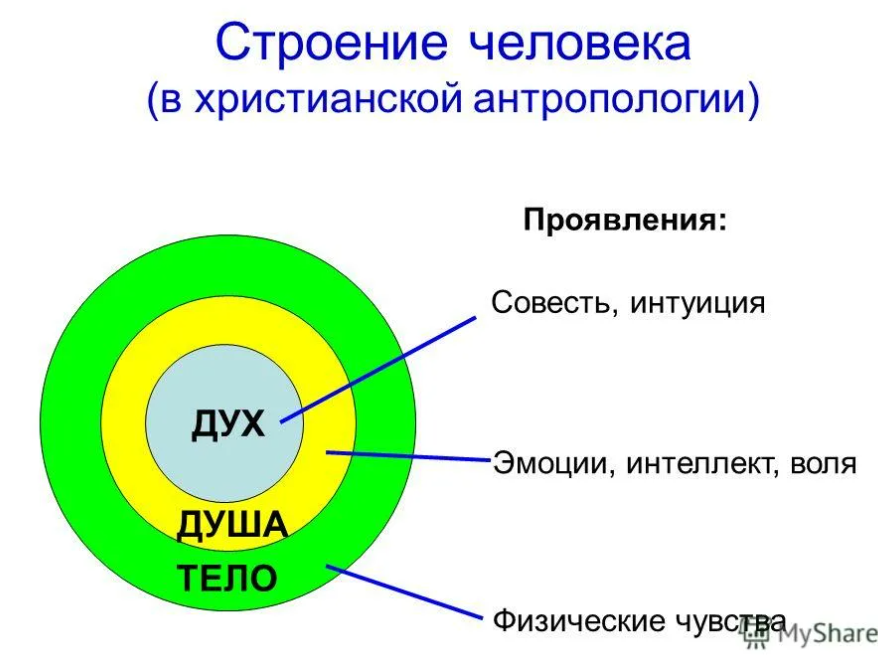 Три элемента можно. Дух, душа и тело. Человек дух душа тело. Тело душа и дух в православии. Структура человека душа дух и тело.