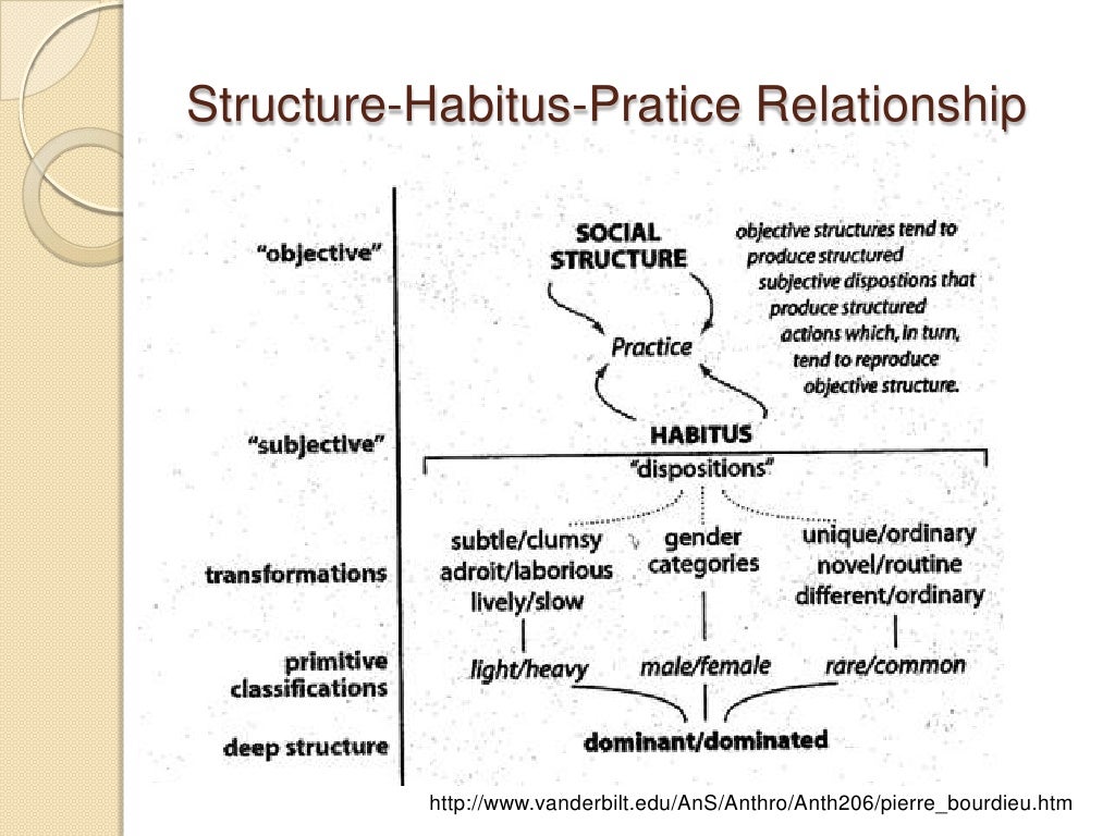 Habitus. Пьер Бурдье габитус. Схема Бурдье. Габитус Бурдье схема. Габитус и хабитус.