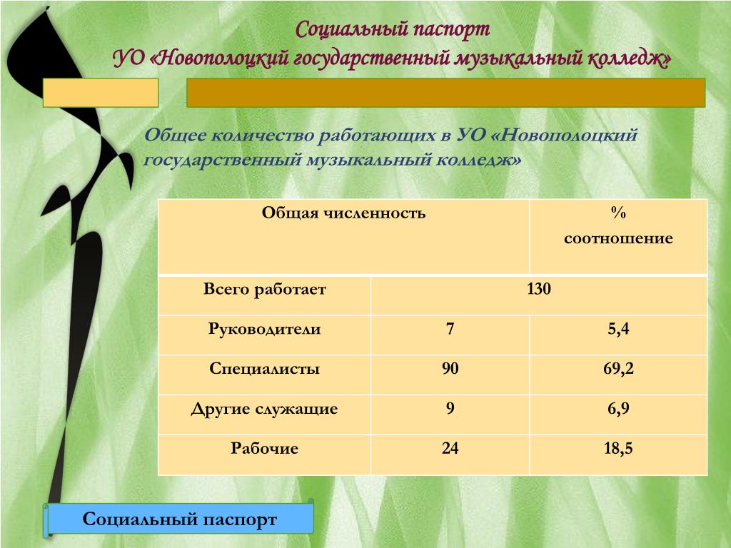 Социальный паспорт микрорайона образец