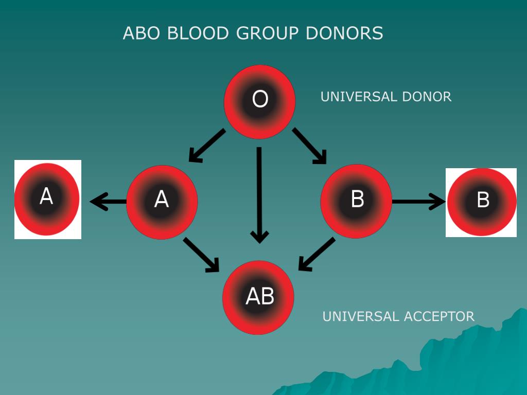 Универсальные доноры и реципиенты крови