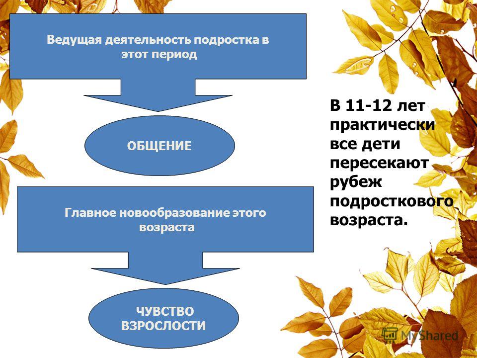 Ведущая деятельность в подростковом