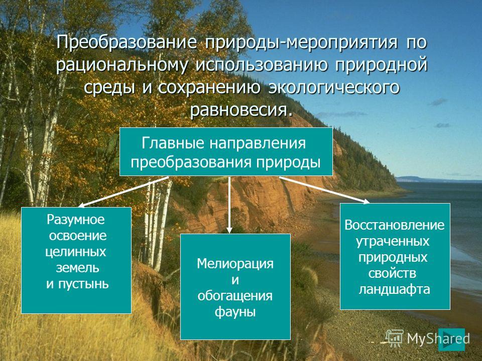 Последствия хозяйственной деятельности человека для окружающей среды презентация 11 класс