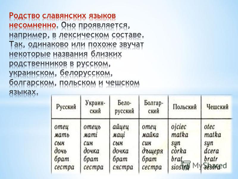 Конец похожие слова. Сходство славянских языков. Похожесть славянских языков таблица. Родство славянских языков. Родственные языки славянскому.