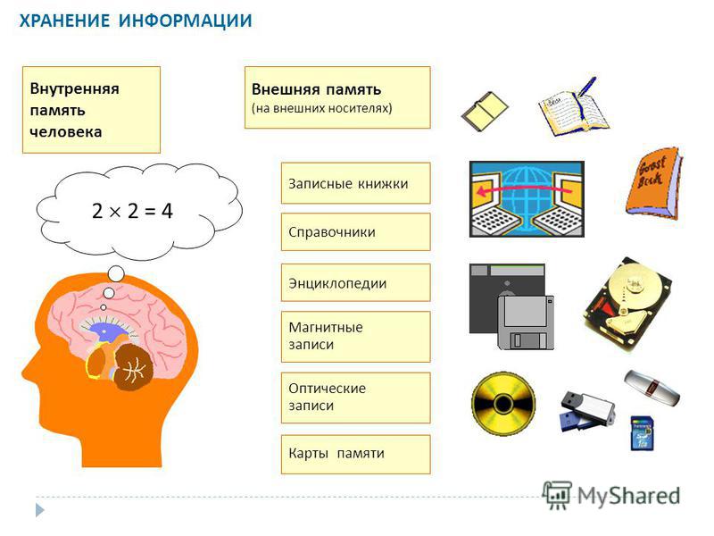 Хранение информации рисунок