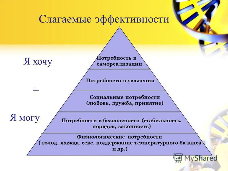 Потребность в любви